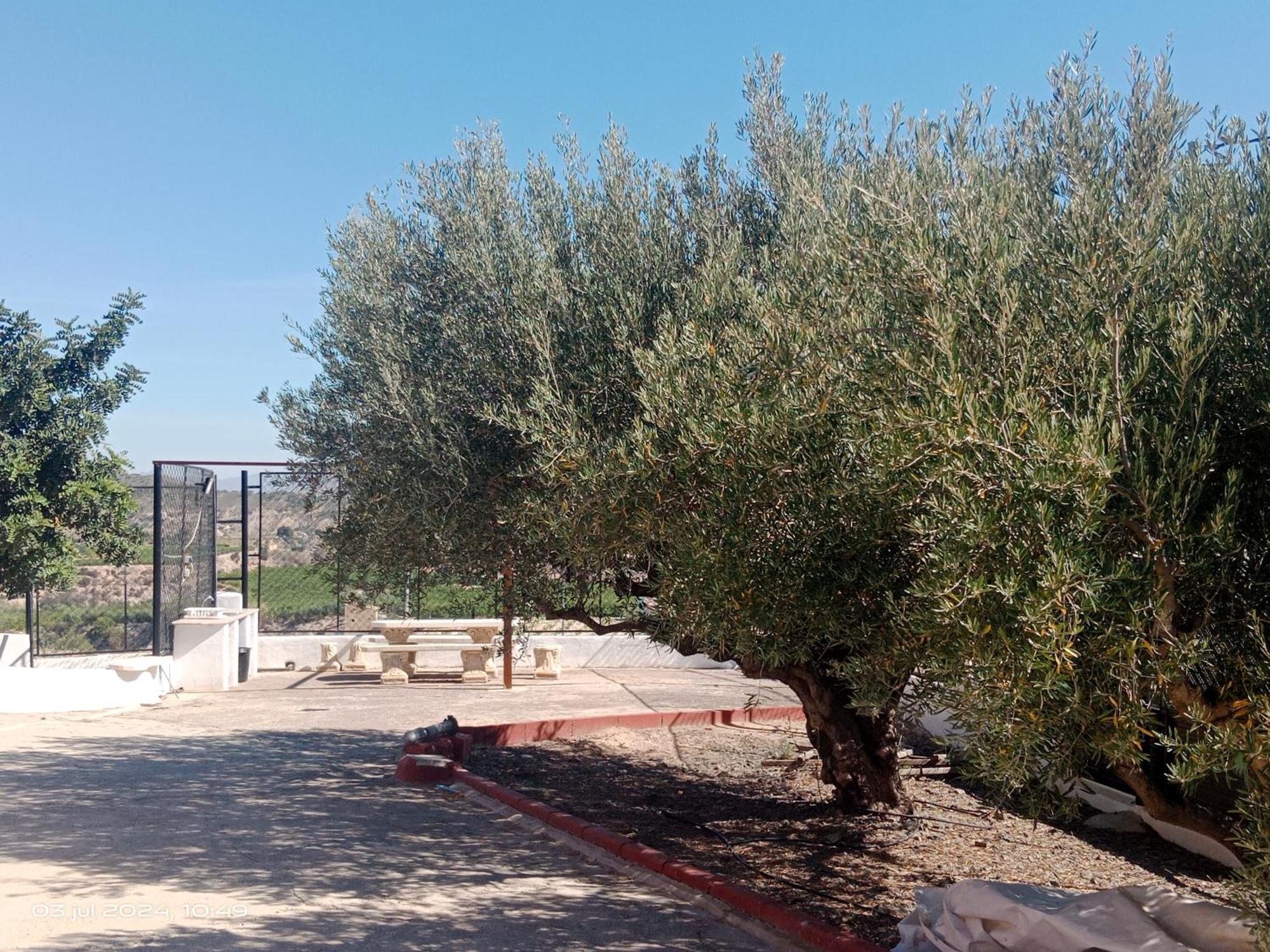 Casa Las Moscas Murcia Ngoại thất bức ảnh